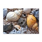 Beach Treasures A4 Sticker 100 Pack