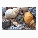 Beach Treasures Postcards 5  x 7  (10 Pack)