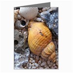 Beach Treasures Greeting Card