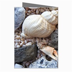 Beach Treasures Greeting Card from ArtsNow.com Right