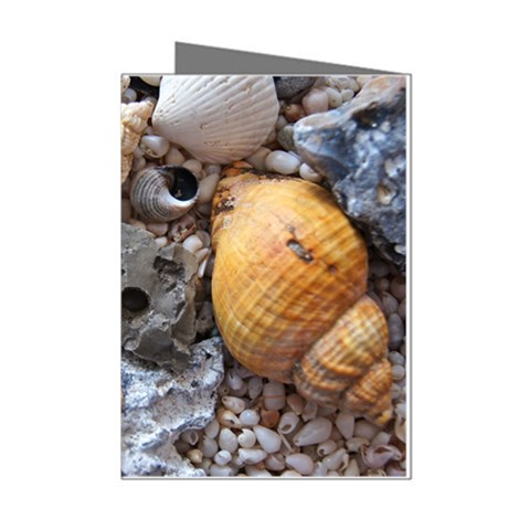 Beach Treasures Mini Greeting Card (8 Pack) from ArtsNow.com Left
