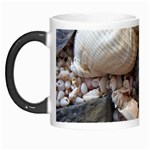 Beach Treasures Morph Mug