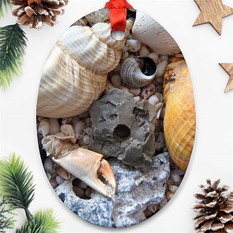 Beach Treasures Oval Ornament (Two Sides) from ArtsNow.com Front