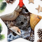 Beach Treasures Star Ornament (Two Sides)