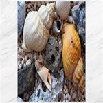 Beach Treasures Canvas 12  x 18  (Unframed)