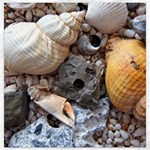 Beach Treasures Canvas 16  x 16  (Unframed)