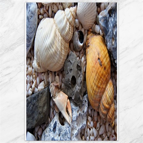 Beach Treasures Canvas 20  x 30  (Unframed) from ArtsNow.com 19.62 x28.9  Canvas - 1