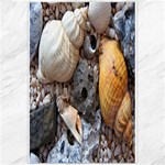 Beach Treasures Canvas 20  x 30  (Unframed)