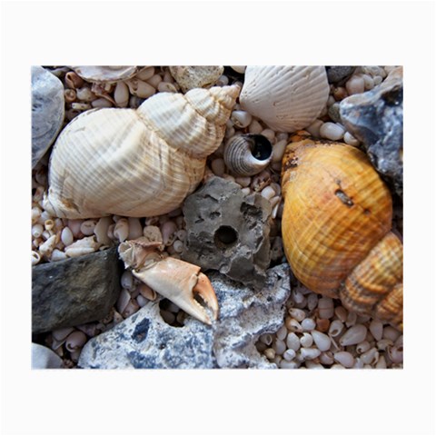 Beach Treasures Glasses Cloth (Small, Two Sided) from ArtsNow.com Front