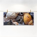 Beach Treasures Hand Towel