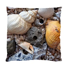 Beach Treasures Cushion Case (Two Sided)  from ArtsNow.com Front