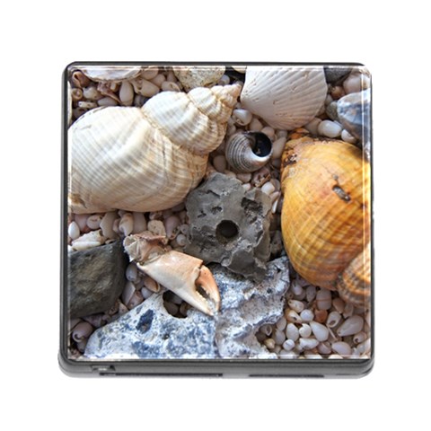 Beach Treasures Memory Card Reader with Storage (Square) from ArtsNow.com Front