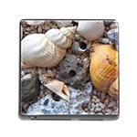 Beach Treasures Memory Card Reader with Storage (Square)