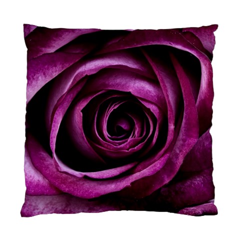 Deep Purple Rose Cushion Case (Two Sided)  from ArtsNow.com Front