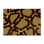 Leopard Print Design Sticker A4 (10 pack)