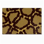 Leopard Print Design Postcard 4 x 6  (Pkg of 10)
