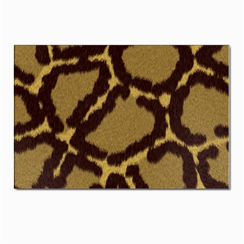 Leopard Print Design Postcards 5  x 7  (Pkg of 10) from ArtsNow.com Front