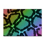 Cool Rainbow Leopard Print Design Sticker A4 (10 pack)