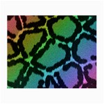 Cool Rainbow Leopard Print Design Glasses Cloth