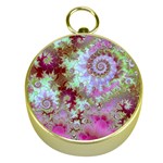 Raspberry Lime Delighraspberry Lime Delight, Abstract Ferris Wheel Gold Compass Raspberry Lime Delighraspberry Lime Delight, Abstract Ferris Wheel Gold Compass
