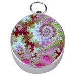 Raspberry Lime Delighraspberry Lime Delight, Abstract Ferris Wheel Silver Compass