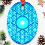 Cause  n Effect Ornament (Oval)