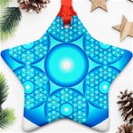 Cause  n Effect Ornament (Star)