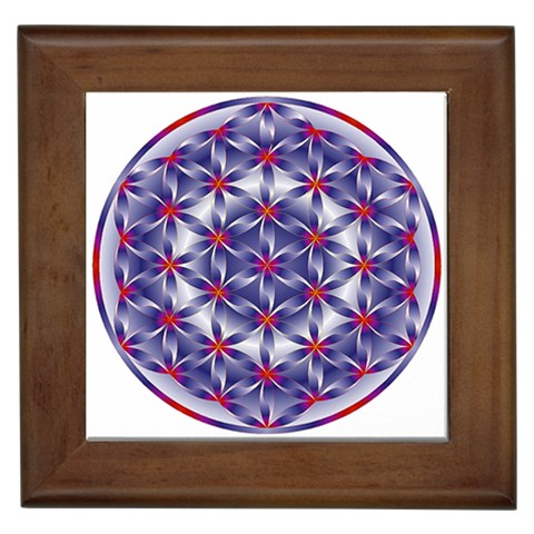 Life Flower Framed Tile from ArtsNow.com Front