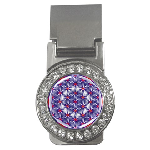 Life Flower Money Clip (CZ) from ArtsNow.com Front