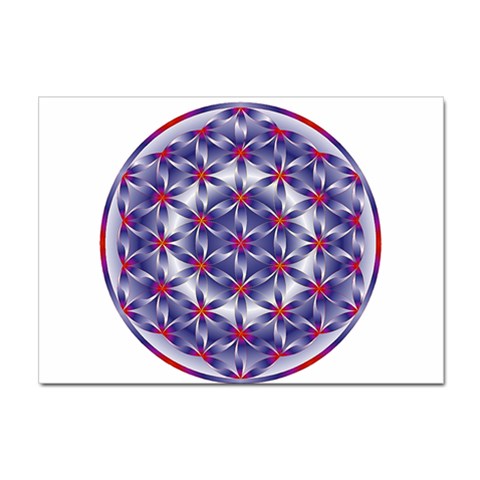 Life Flower Sticker A4 (100 pack) from ArtsNow.com Front