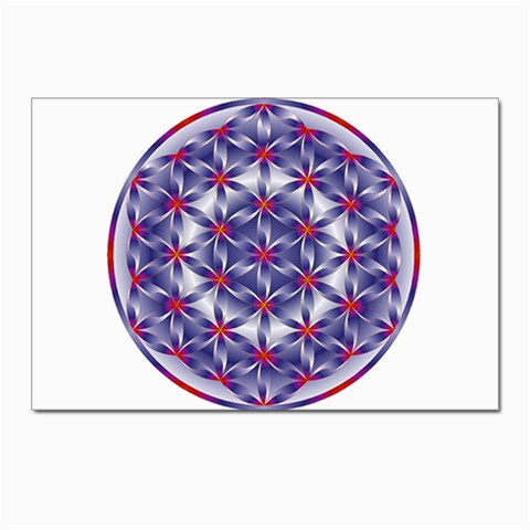 Life Flower Postcard 4 x 6  (Pkg of 10) from ArtsNow.com Front