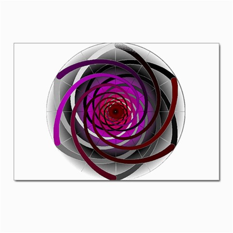 Golden Ratio Postcard 4 x 6  (Pkg of 10) from ArtsNow.com Front