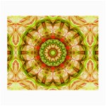 Red Green Apples Mandala Glasses Cloth (Small)