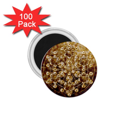 Grailcode2 1.75  Magnet (100 pack)  from ArtsNow.com Front