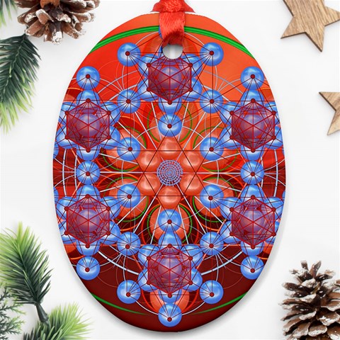 Grailcode2 Ornament (Oval) from ArtsNow.com Front