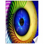 Eerie Psychedelic Eye Canvas 12  x 16  (Unframed)