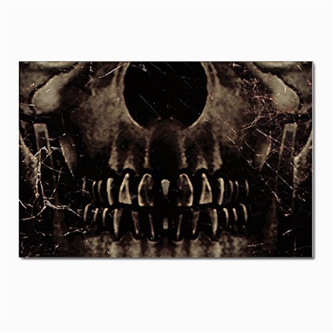Skull Poster Background Postcard 4 x 6  (10 Pack) from ArtsNow.com Front