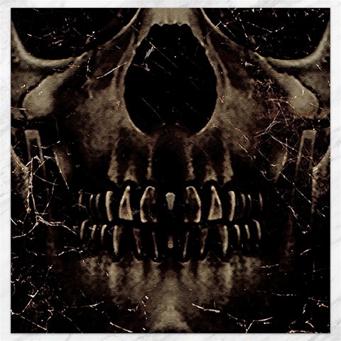 Skull Poster Background Canvas 12  x 12  (Unframed) from ArtsNow.com 11.4 x11.56  Canvas - 1