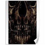 Skull Poster Background Canvas 12  x 16  (Unframed)