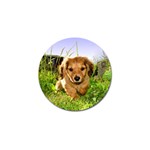 Puppy In Grass Golf Ball Marker