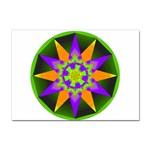 Polarity Sticker A4 (10 pack)
