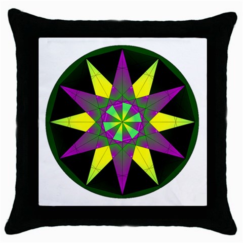 Polarity Throw Pillow Case (Black) from ArtsNow.com Front