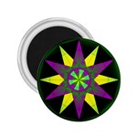 Polarity 2.25  Magnet