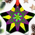 Polarity Ornament (Star)