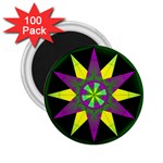 Polarity 2.25  Magnet (100 pack) 