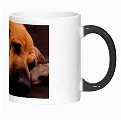 Cat And Dog Morph Mug from ArtsNow.com Right