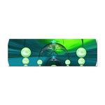 Transition Sticker (Bumper)
