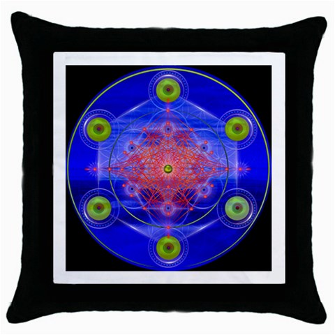 Truth Throw Pillow Case (Black) from ArtsNow.com Front