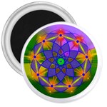 Unconditionality 3  Magnet