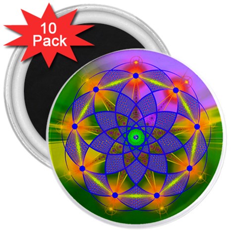 Unconditionality 3  Magnet (10 pack) from ArtsNow.com Front